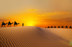 travel-by-camels-in-china