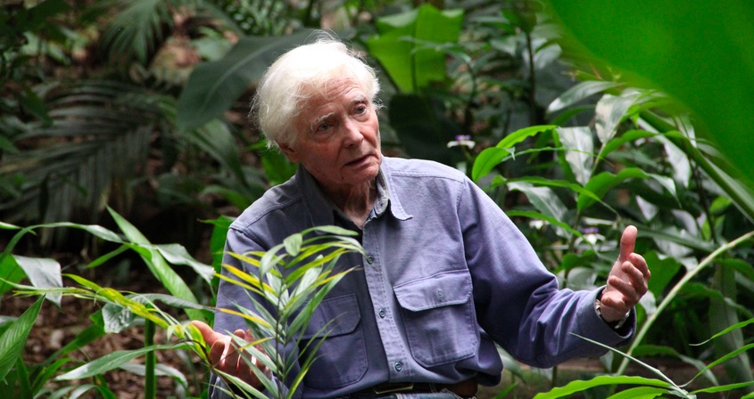 ويليام ستانلي ميروين…أمل الشاعر الميؤوس منه