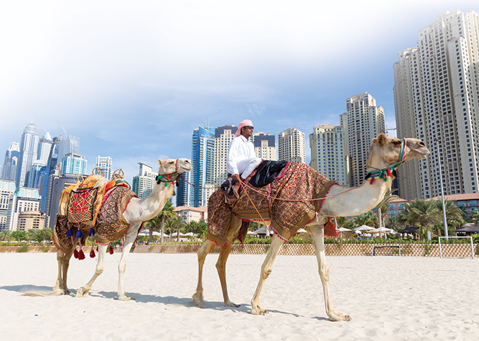 سنوات-النفط-٣