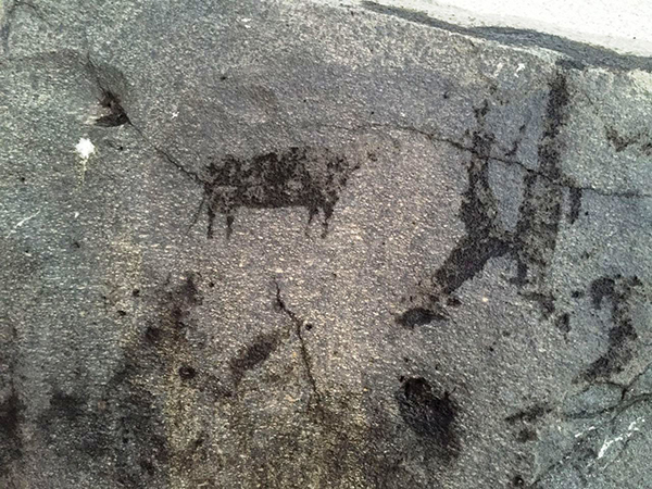 رسم صخري عثر عليه في موقع قرب خليج سلمان شمال جدة 