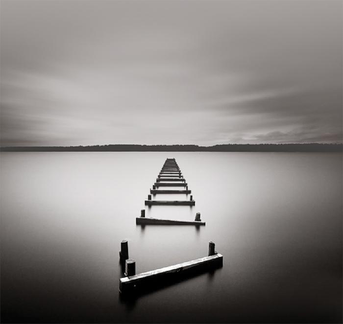 ذئب ليس له سوى عواء الموت .. مقاربات لسيرة الشاعر محمد حسين هيثم