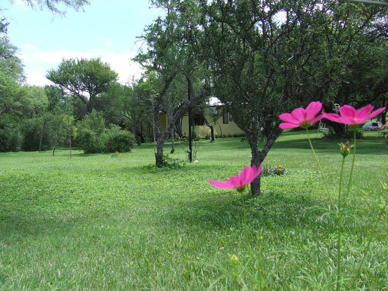 اسم في الليل