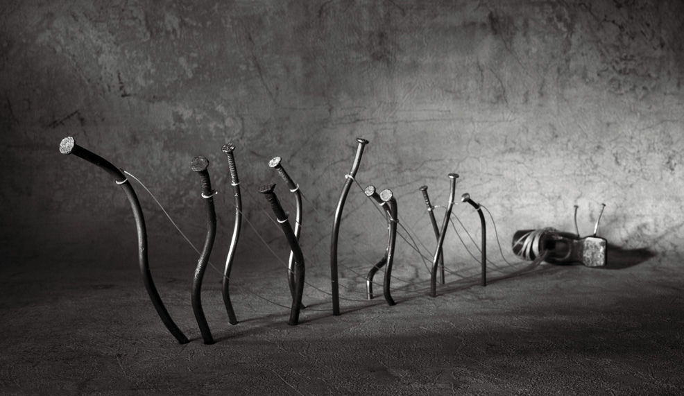 الأحلام في الأدب.. وحشية – مصير «شذرات من القصة القصيرة»