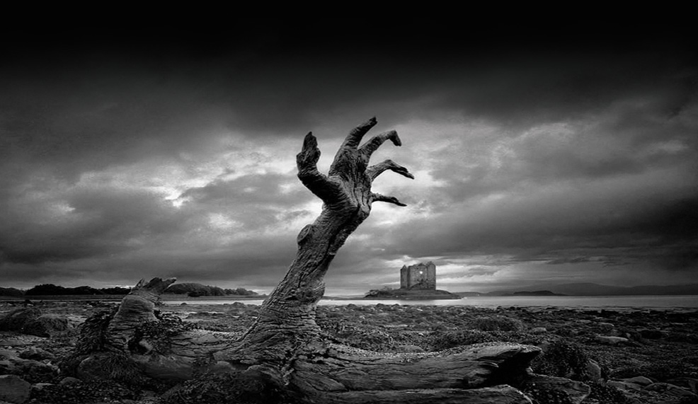 نحو تخصيب التأويل والدلالة .. شعرية العتبات في الرواية الكويتية