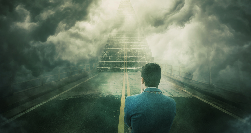 عن الذئب الذي يعبر حيواتنا