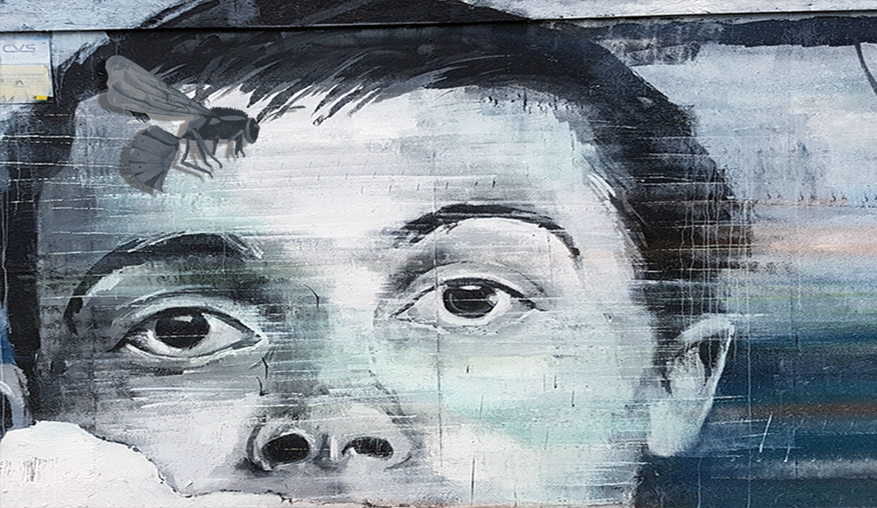 سهرة برفقة دبّور تائه