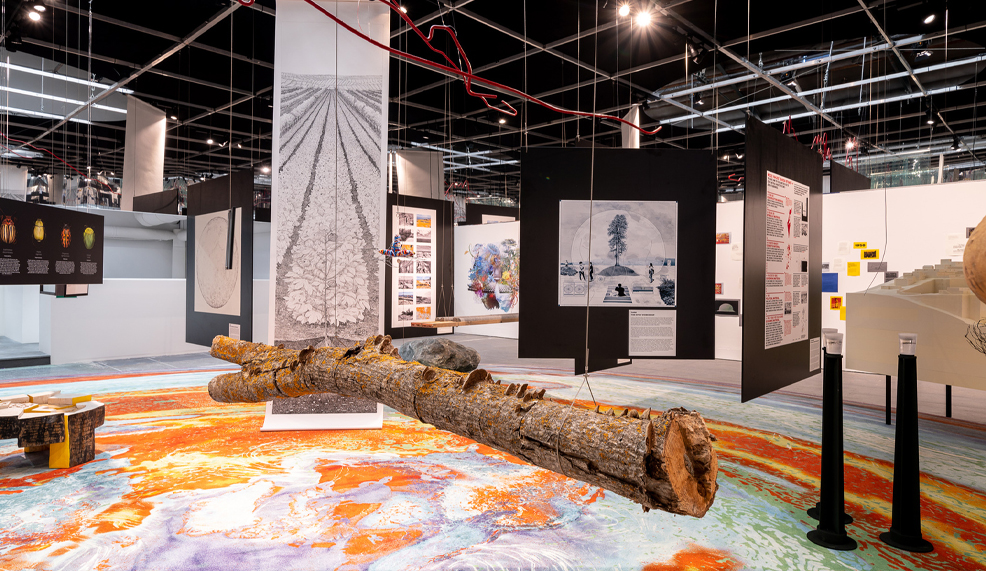 الهوية من رافع إلى عائق