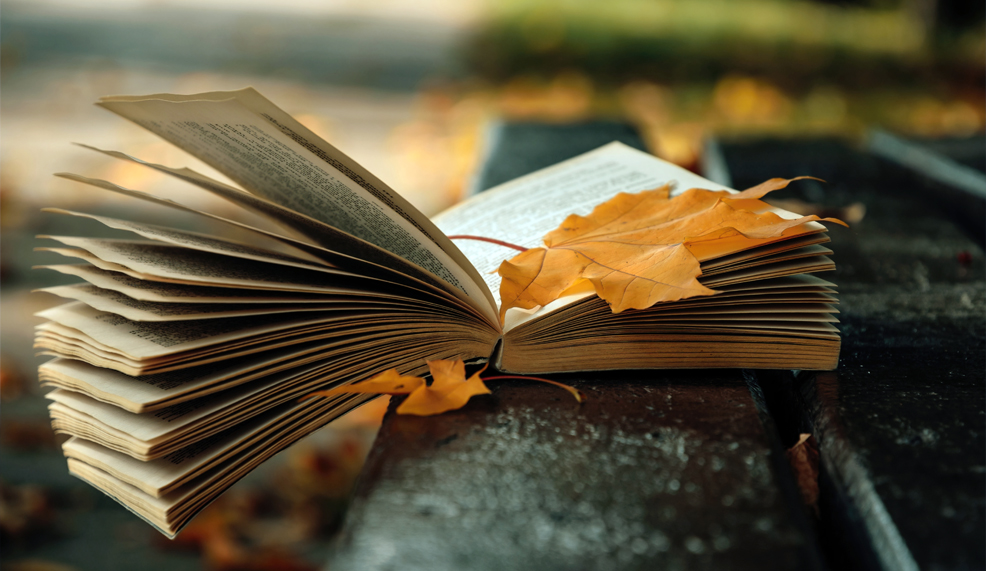 استكشاف الذات وتأمل الوجود في «أنطولوجيا الشاعرات الدنماركيات»