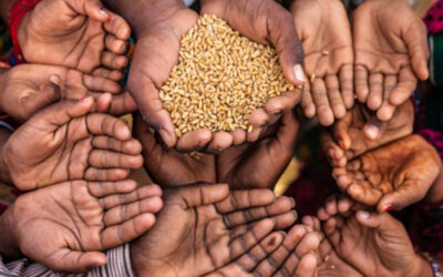 أزمة الغذاء العالمية: الجوع في مرايا الأدب