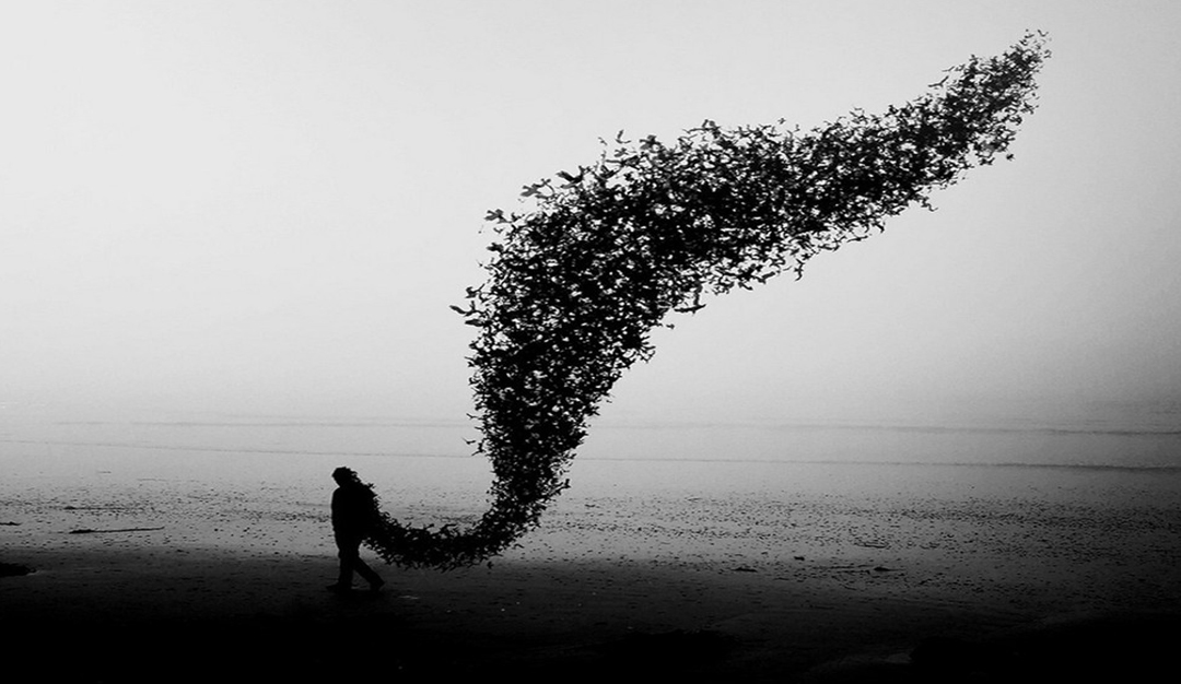 الشعر جاسوس اللغة (قصائد غير عربية)