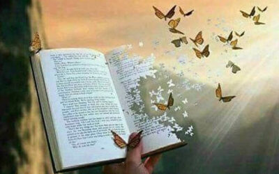 معابر القراءة… بين النقد والترجمة