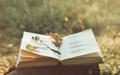 السؤال عن مستقبل الشعر العربي