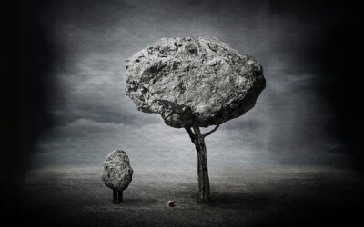 صانع الشواهد