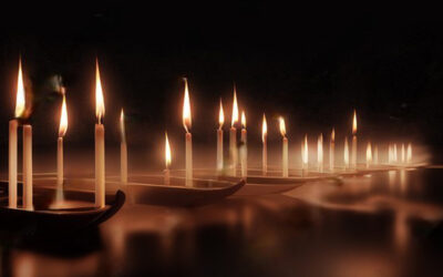 فراشة عند فوهة المدفع