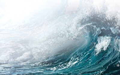 أخلعُ الترابَ وأمضي إليه