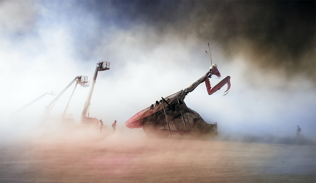 إنسانيتنا تفضحنا