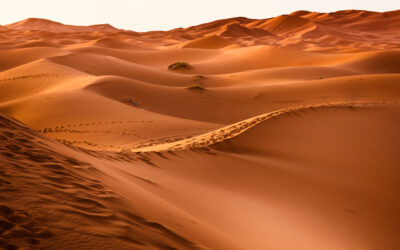 نص الصحراء واللامفكر فيه عند إدمون جابيس وبلانشو ولفيناس