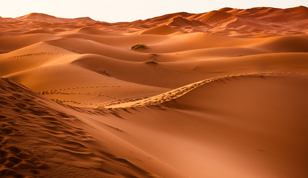 نص الصحراء واللامفكر فيه عند إدمون جابيس وبلانشو ولفيناس