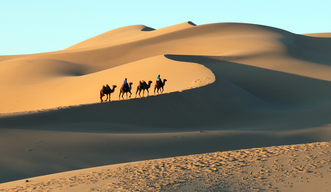 سردية الصحراء… حفاظ على الهوية أم بحث عن الغرائبي والمدهش؟