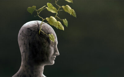 الاستشفاء بالفلسفة… الفكر ترياق لعذابات النفس