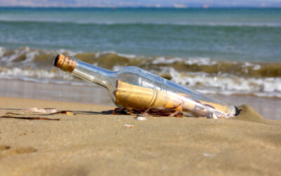 رسائل غير مقصودة على الشواطئ… مختارات من الشعر الهولندي