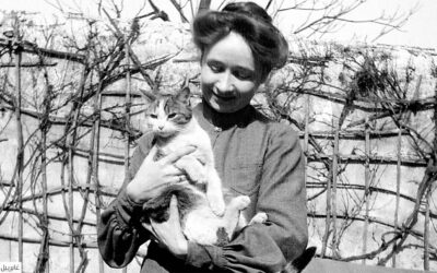 غابرييل مونتر.. تعرية روح الأشياء