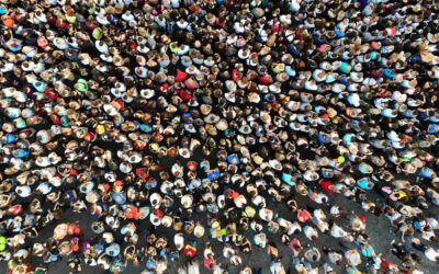 الطيور على أشكالها تقع… سوسيولوجيا شبكة العلاقات الاجتماعية