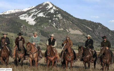 «جاسم» و«لوغان».. صراع الإرث وصورة الأب بين الدراما الخليجية والمسلسل الأميركي Succession