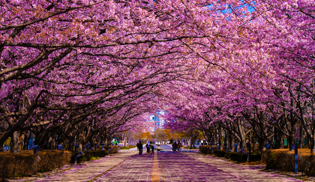 «الحديقة في مواجهة الزمن»… في البحث عن فردوس مشترك