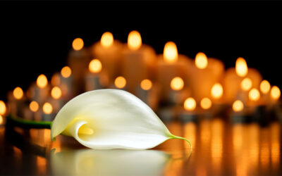 شجرة أوراقها تشبه القلوب