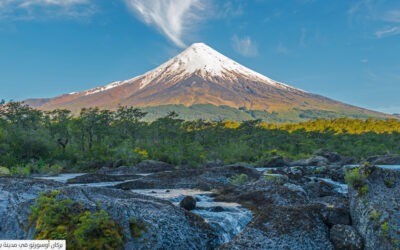 نحو منهج نقدي إيكولوجي في الأدب التشيلــي المعـاصر