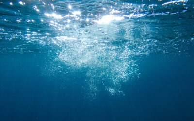 بَحْرٌ تَائه!