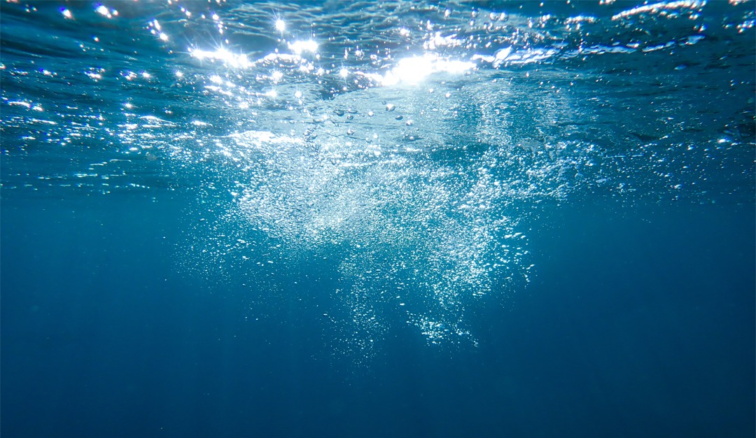 بَحْرٌ تَائه!