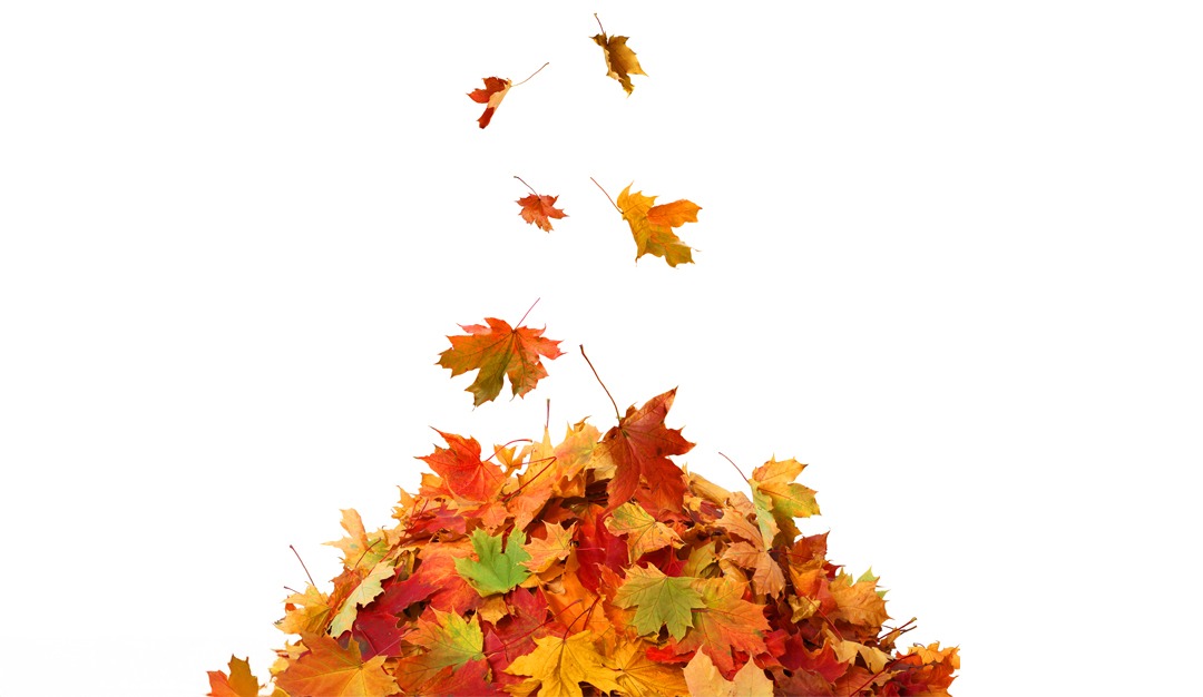 في مهب التأويل