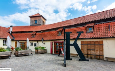 «كافكا لا يُريد أن يموت» للفرنسي لوران سيكسيك الحفاظ على ذاكرة كافكا ومُساءلة إرْثِه الأدبي